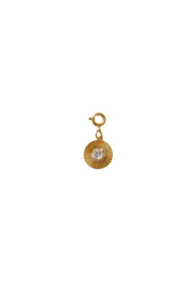 "COIN WITH ZIRCON1"